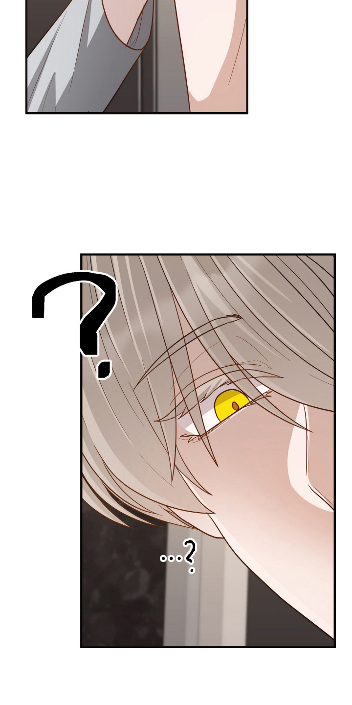 新鲜黄鸡油切丁的标准尺寸漫画,第23章：过度保护2图