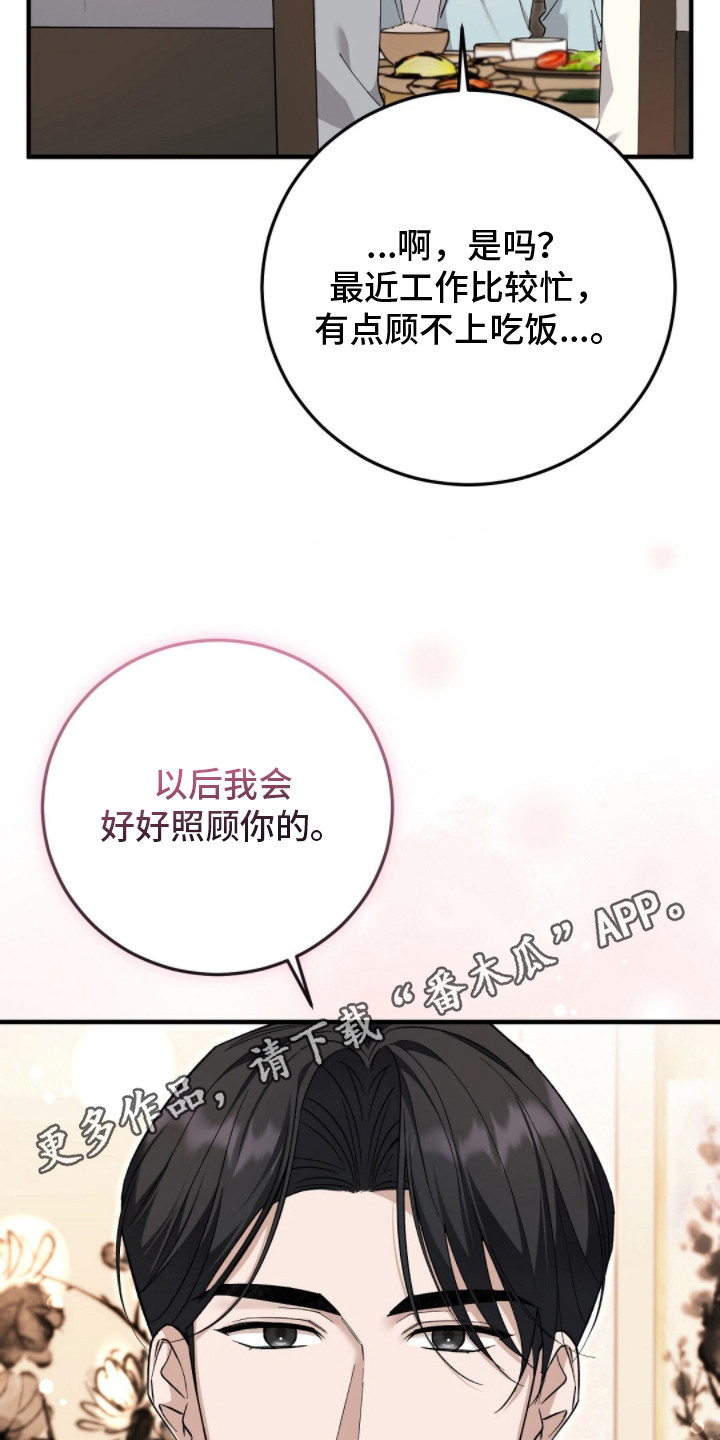 总裁的乌龙恋人漫画,第13章：总裁5图