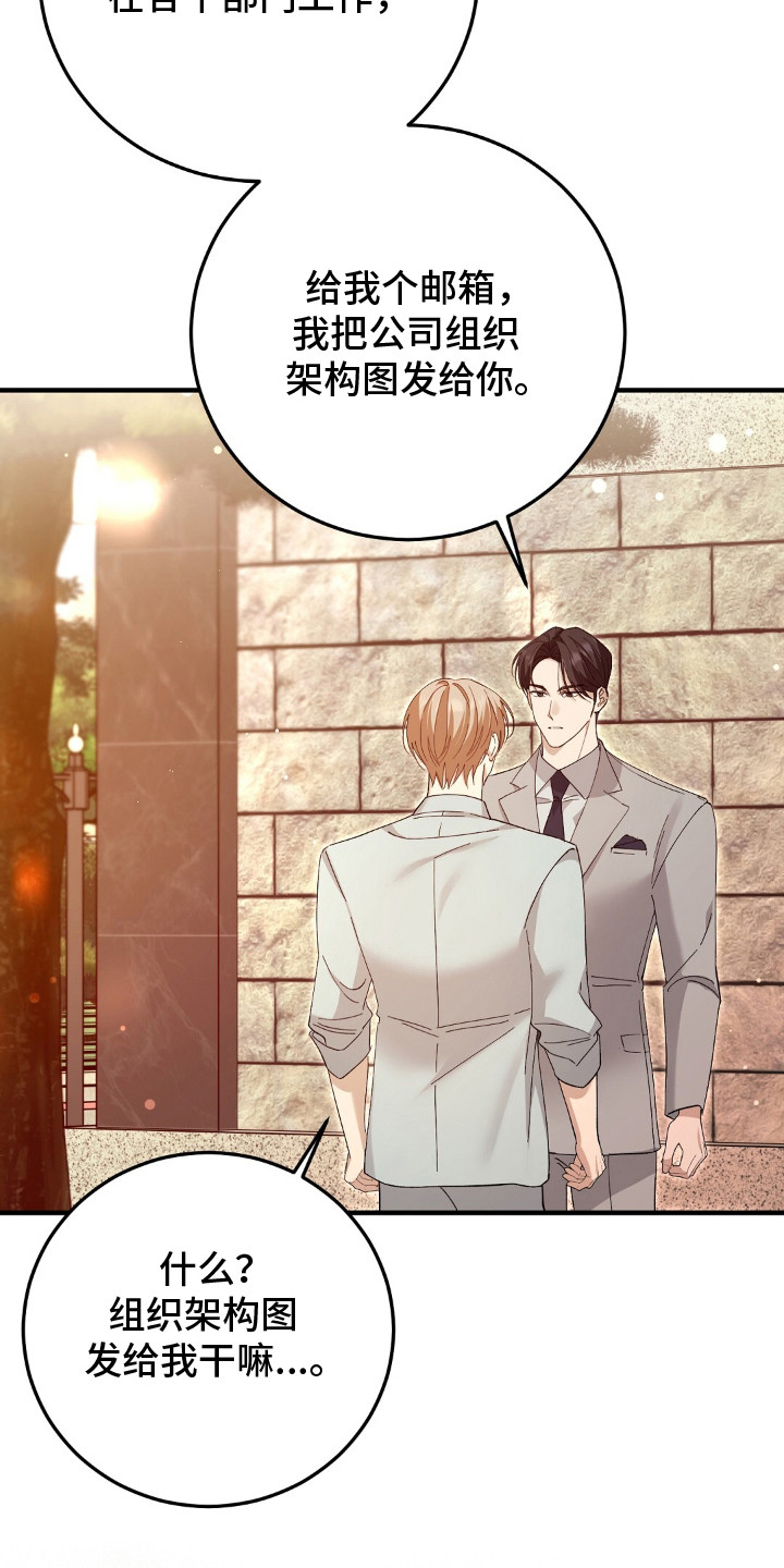 总裁的乌龙恋人cp完整版漫画,第15章：坦诚4图