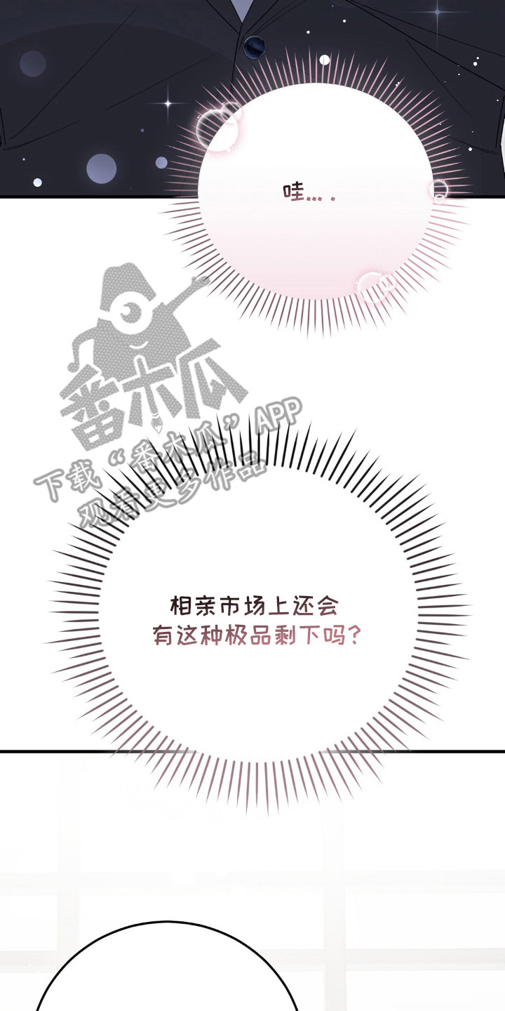 总裁的乌龙恋人正版漫画,第1章：相亲3图