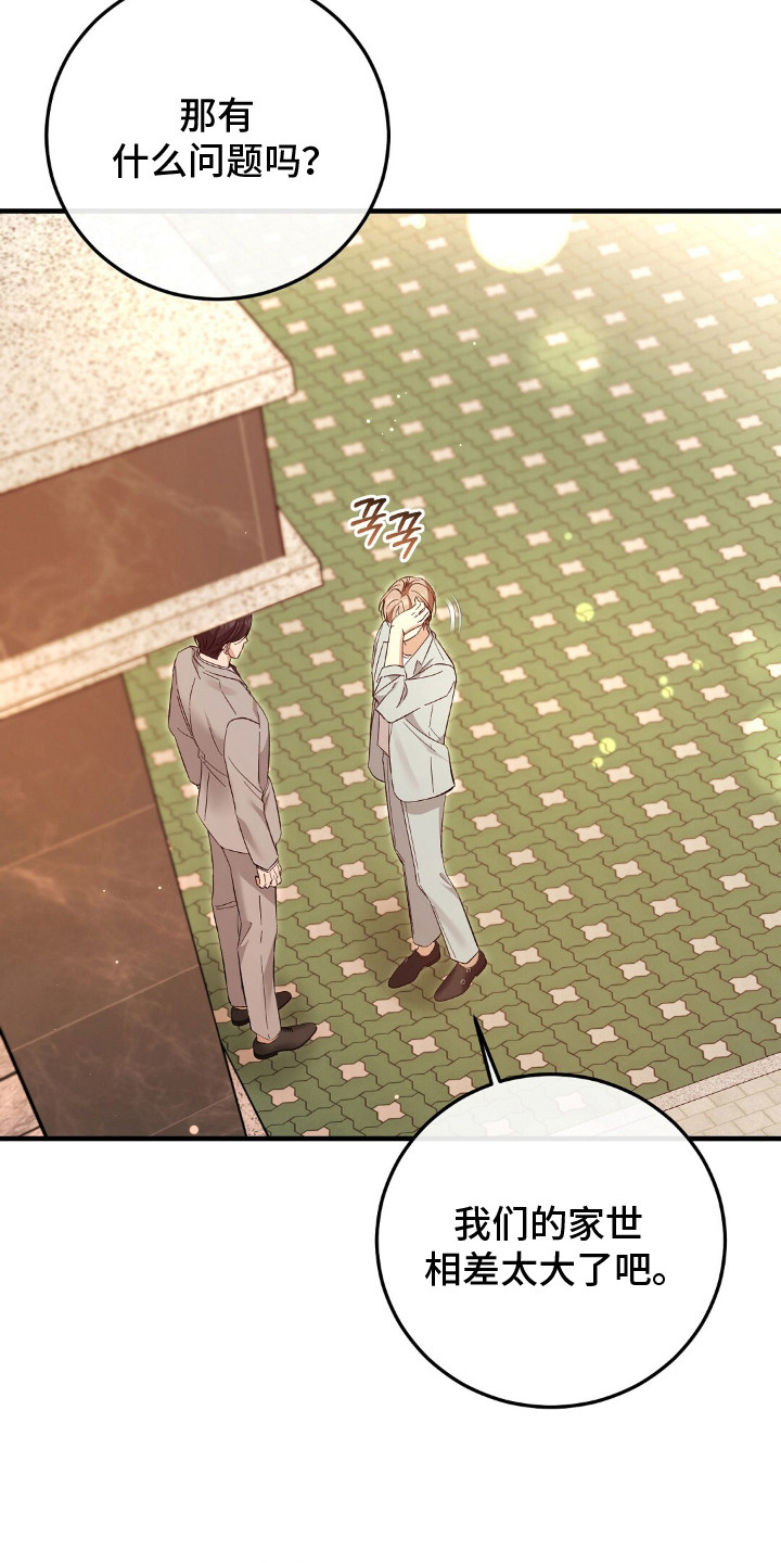 总裁的乌龙恋人正版漫画,第14章：家世差距2图