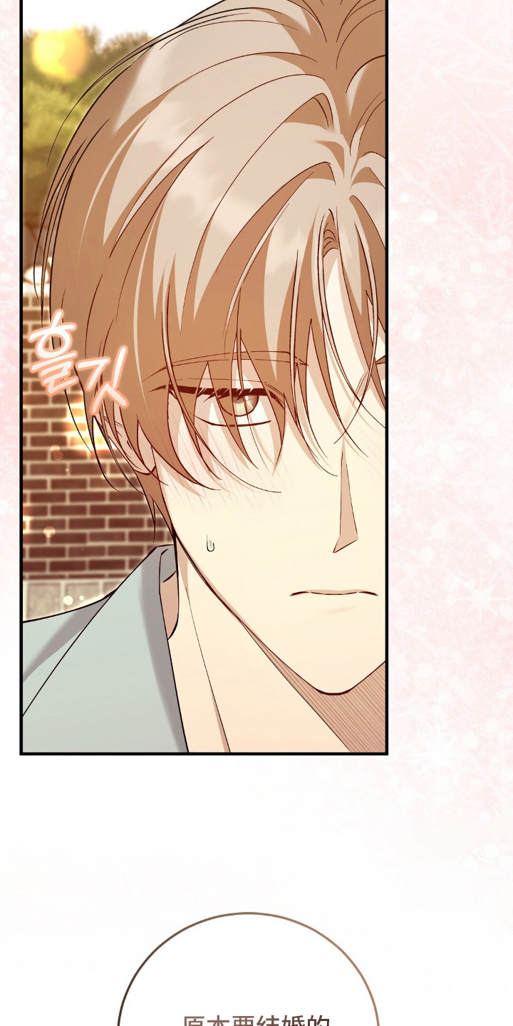 总裁的乌龙恋人cp完整版漫画,第15章：坦诚4图