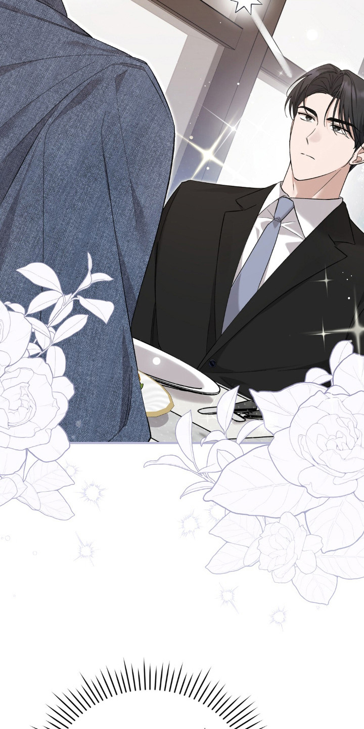 总裁的乌龙恋人正版漫画,第1章：相亲3图