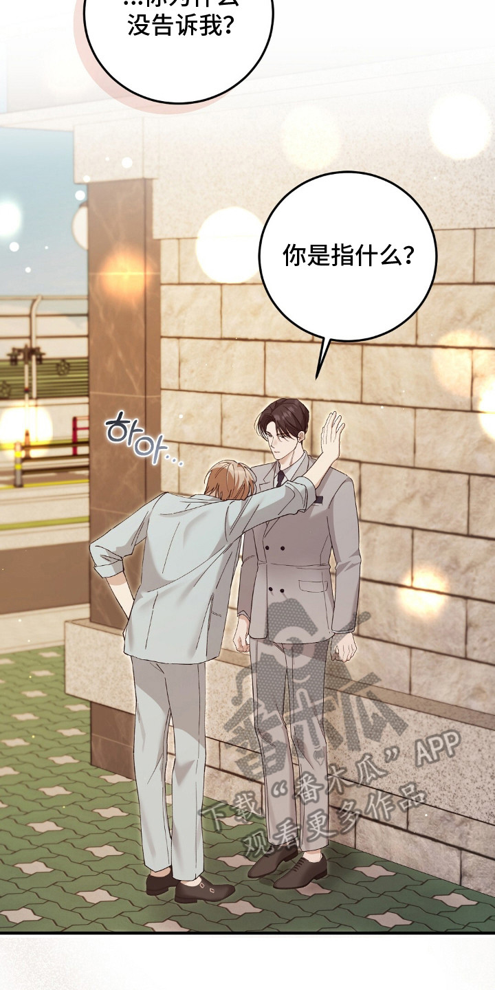 总裁的乌龙恋人正版漫画,第14章：家世差距2图