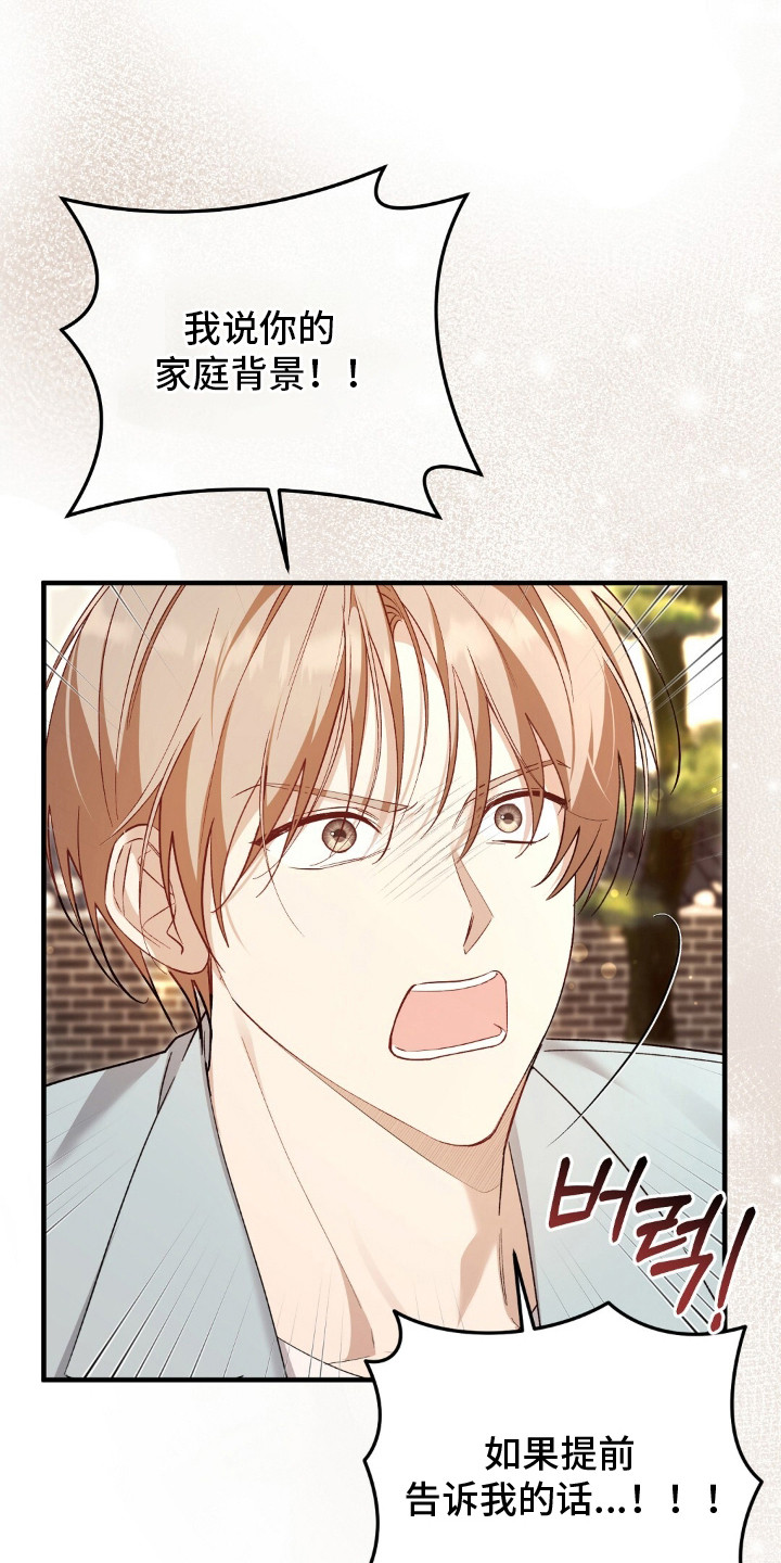 总裁的乌龙恋人正版漫画,第14章：家世差距3图