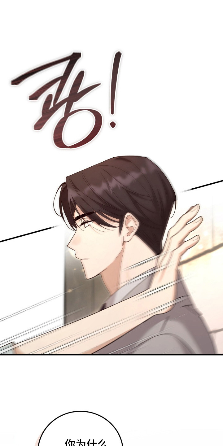 总裁的乌龙恋人正版漫画,第14章：家世差距1图