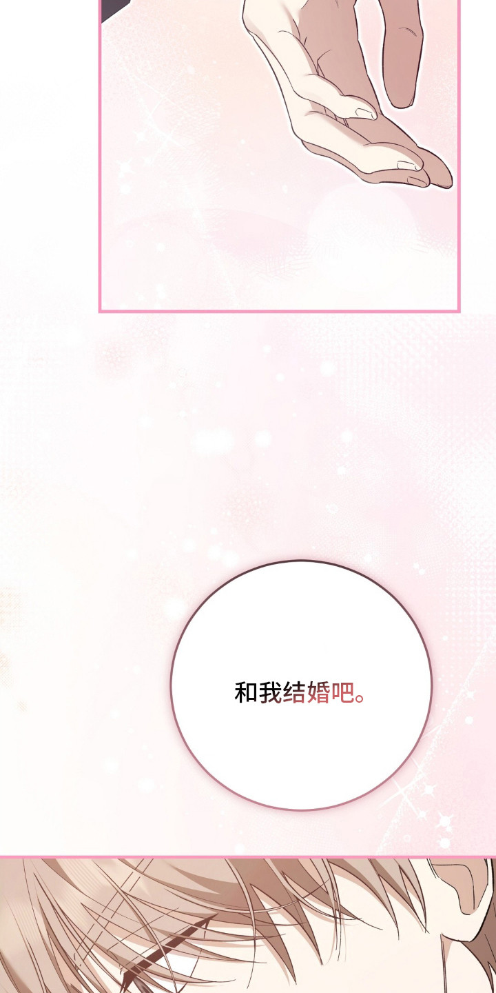 总裁的乌龙恋人漫画,第3章：结婚吧1图