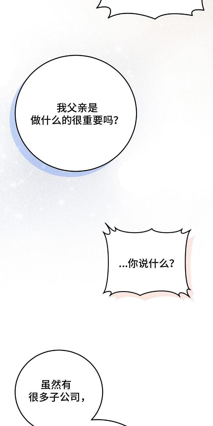 总裁的乌龙恋人正版漫画,第14章：家世差距4图