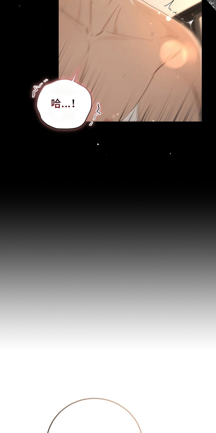 总裁的乌龙恋人cp完整版漫画,第16章：计划好了2图