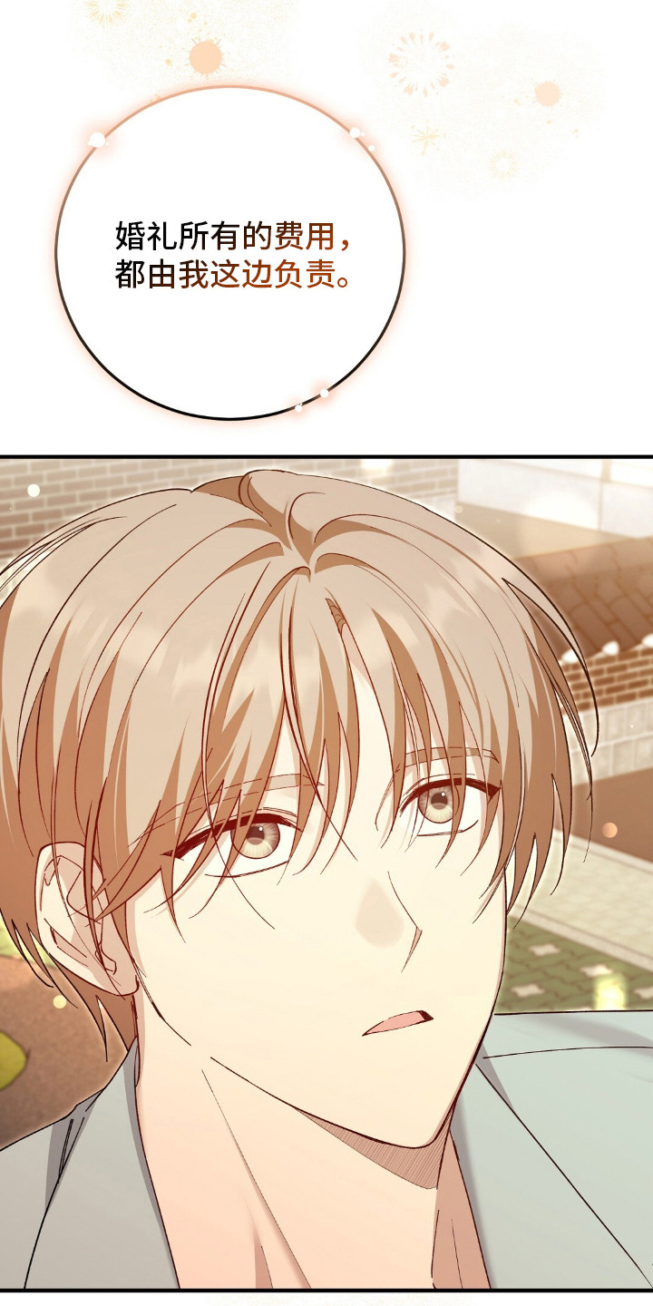 总裁的乌龙恋人cp完整版漫画,第16章：计划好了3图