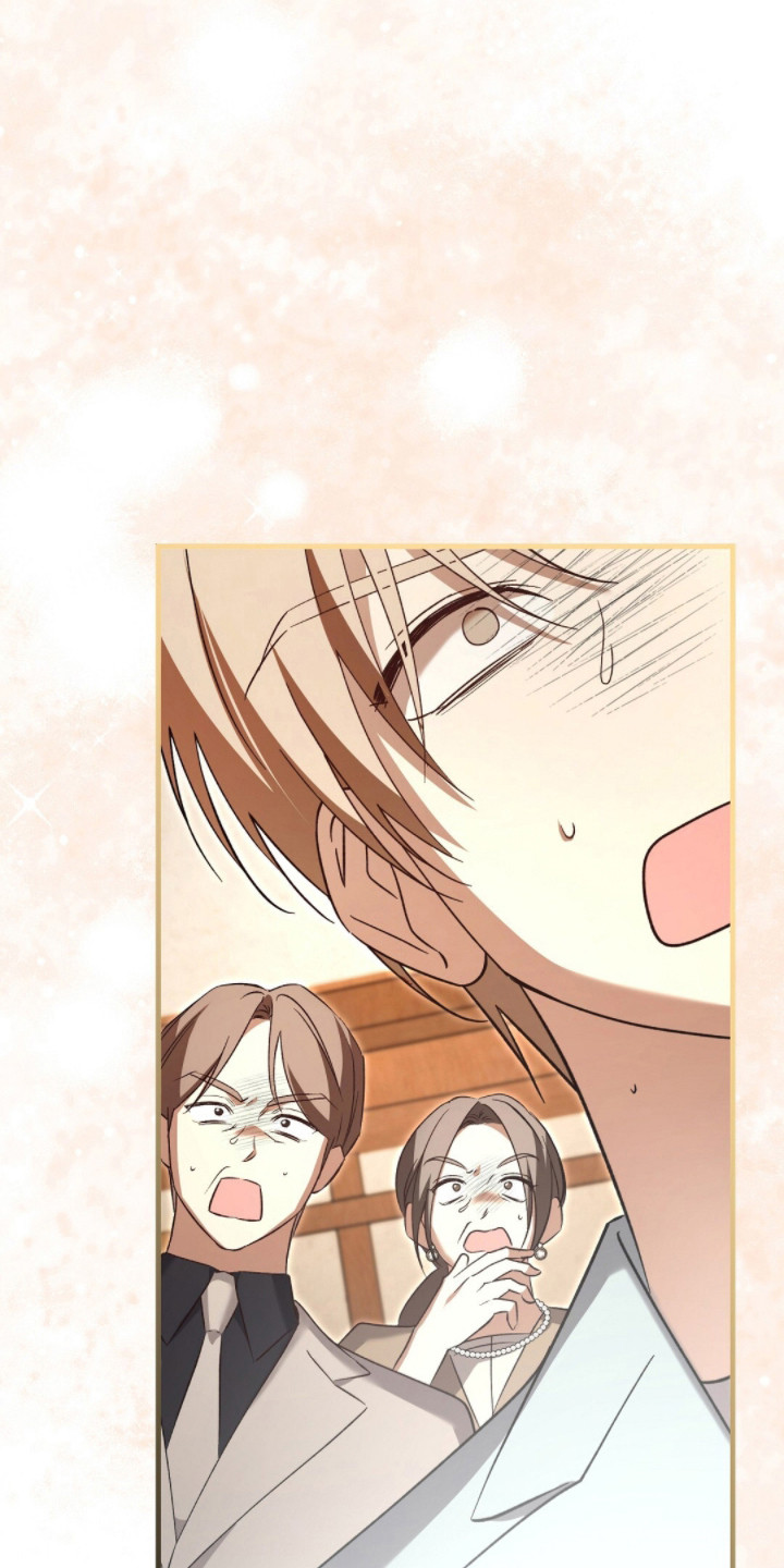 总裁的乌龙恋人漫画,第12章：见家长2图