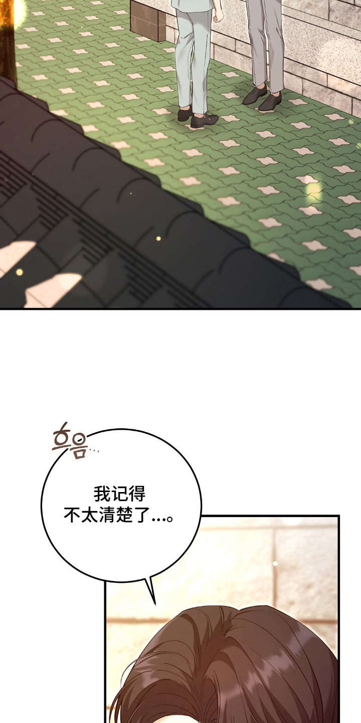 总裁的乌龙恋人正版漫画,第14章：家世差距2图