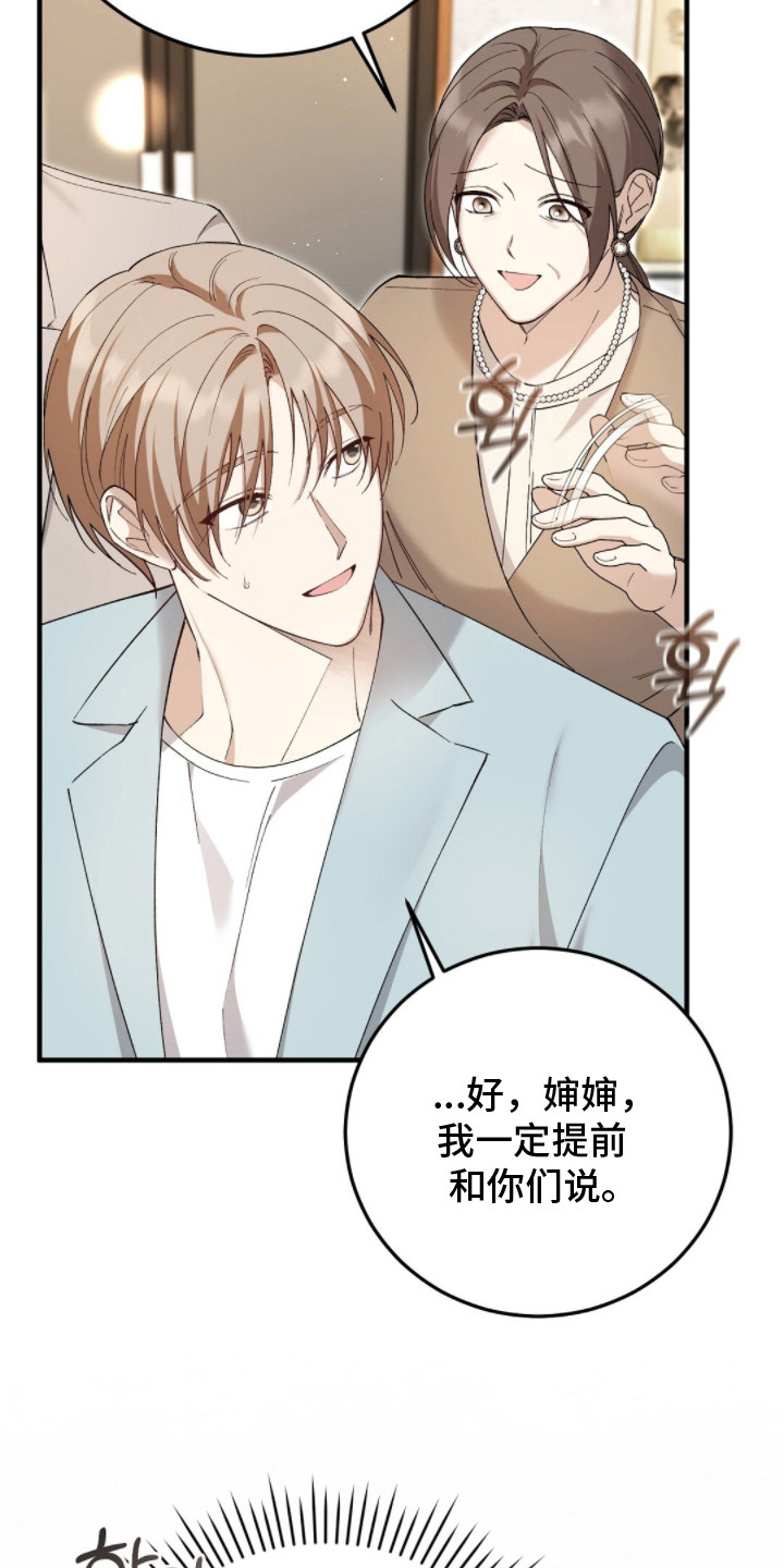 总裁的乌龙恋人漫画,第11章：下决心3图
