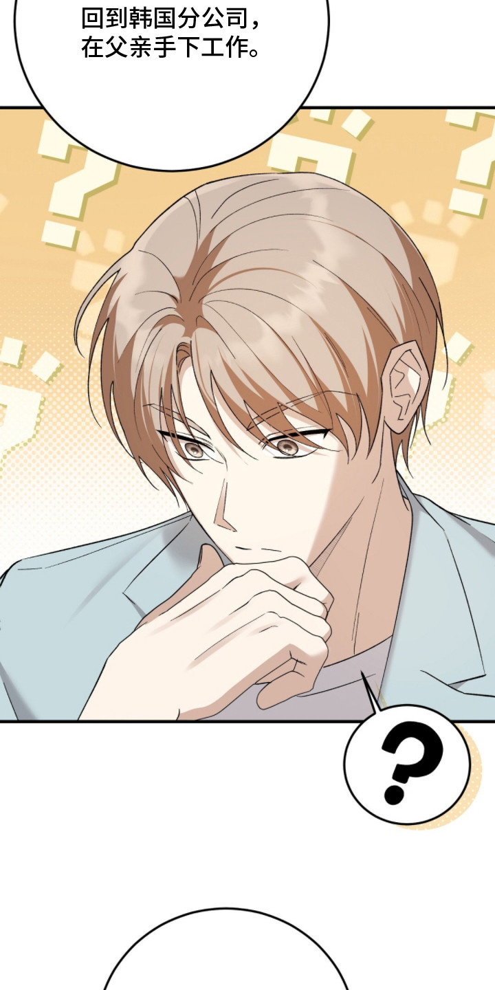 总裁的乌龙恋人cp完整版漫画,第13章：总裁1图