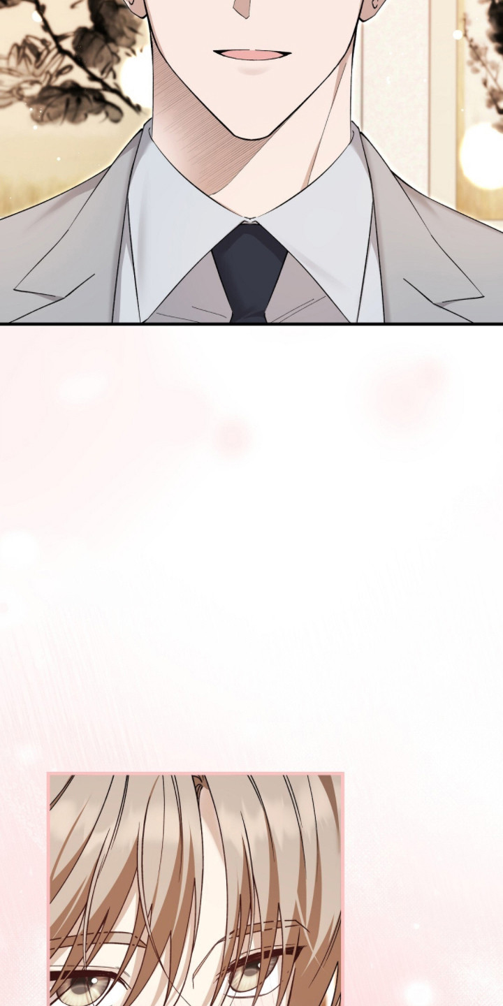 总裁的乌龙恋人cp完整版漫画,第13章：总裁1图