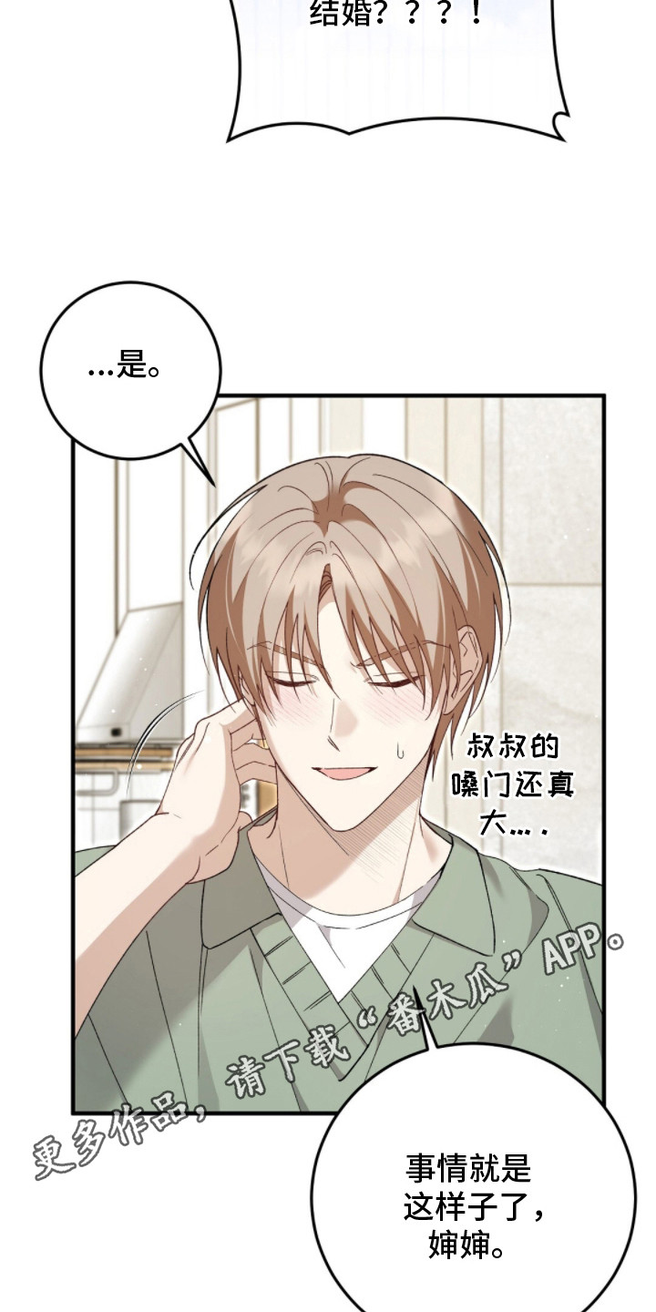 总裁的乌龙恋人漫画,第11章：下决心4图