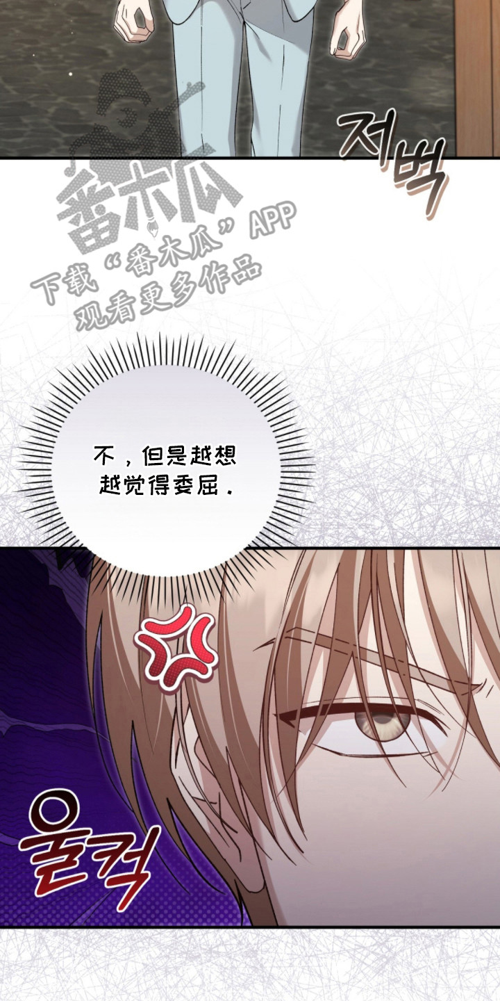 总裁的乌龙恋人漫画,第11章：下决心5图