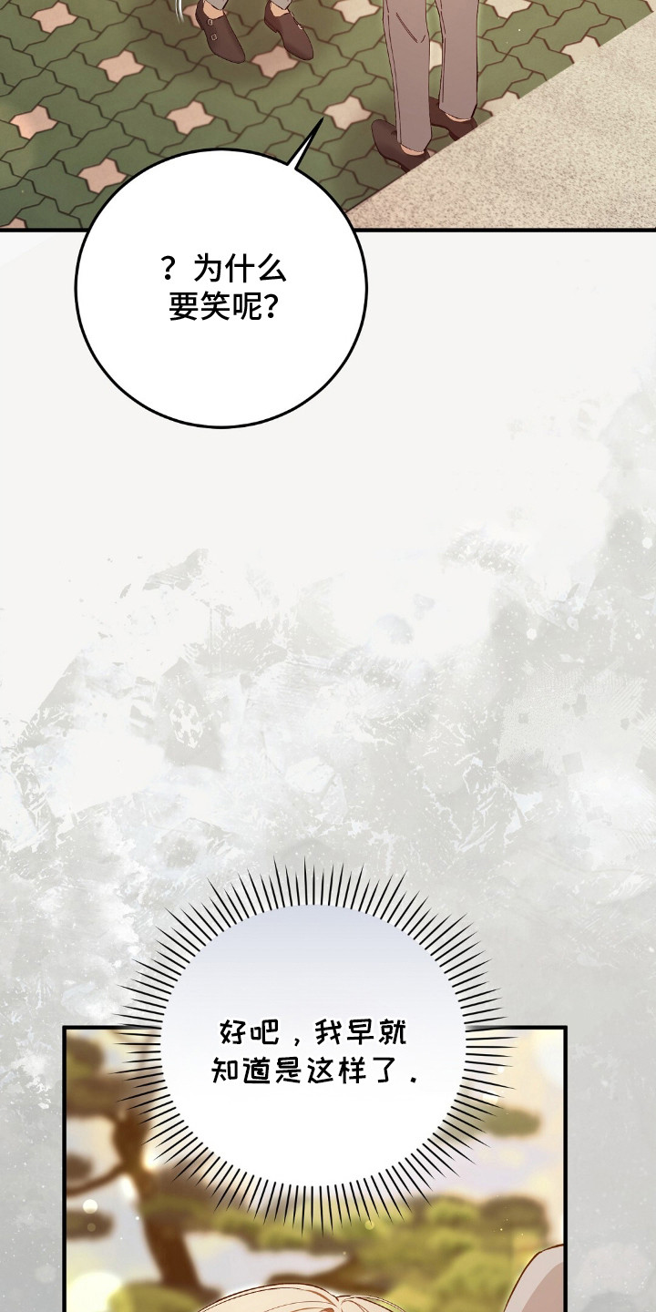 总裁的乌龙恋人正版漫画,第14章：家世差距1图