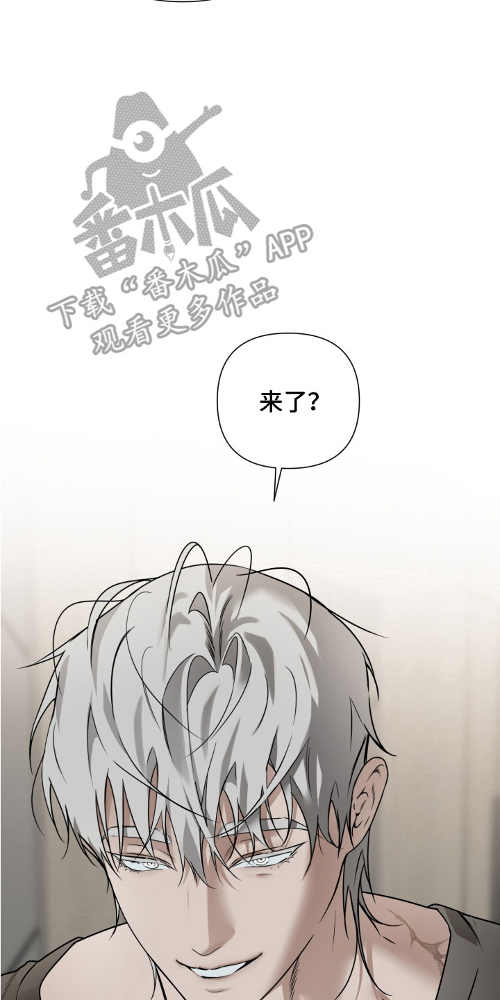 特殊开发驯服偶像漫画,第9章：纸袋4图