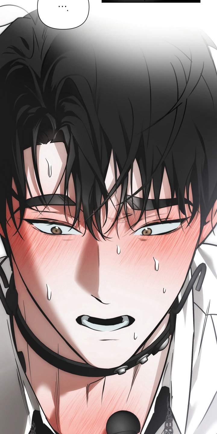 特殊开发驯服偶像漫画,第17章：偏爱1图
