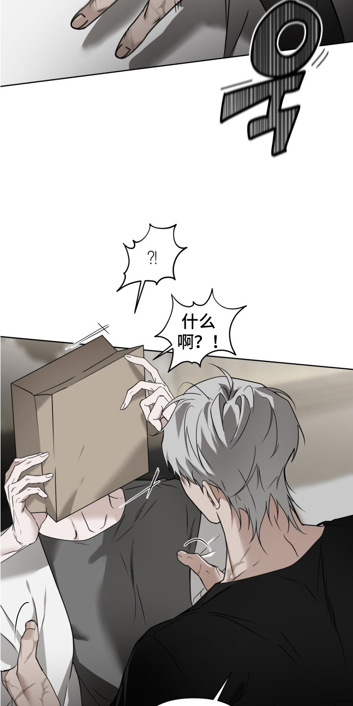 特殊开发驯服偶像漫画,第9章：纸袋4图