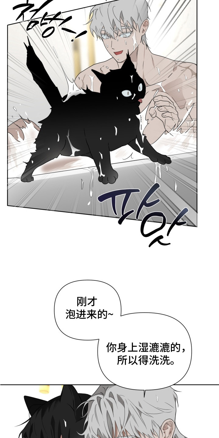 特殊开发驯服偶像漫画,第11章：理想型5图