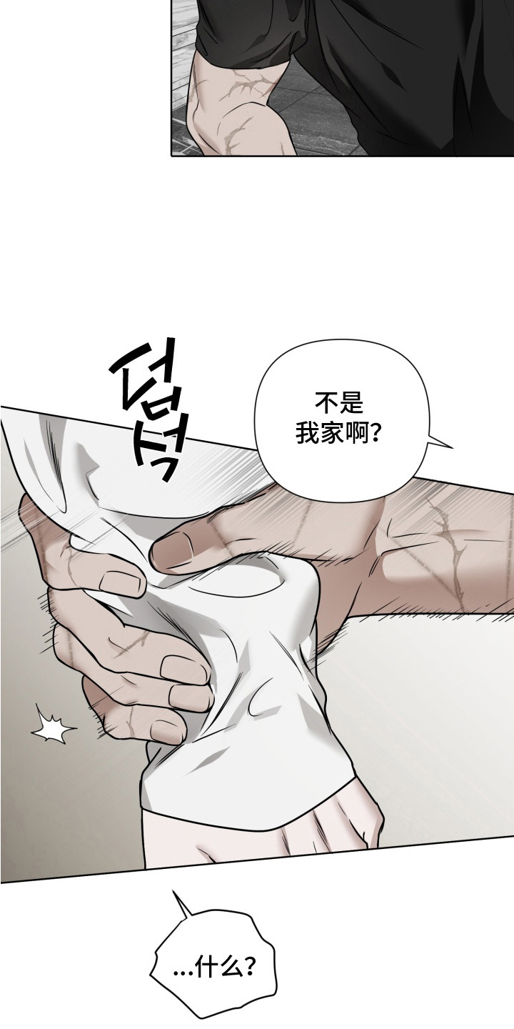 特殊开发驯服偶像漫画,第9章：纸袋3图