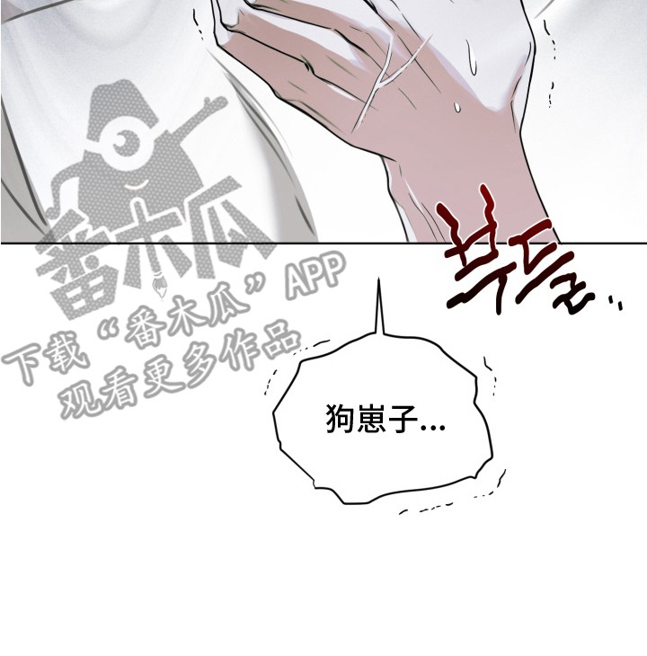 特殊开发驯服偶像漫画,第6章：活动中断5图