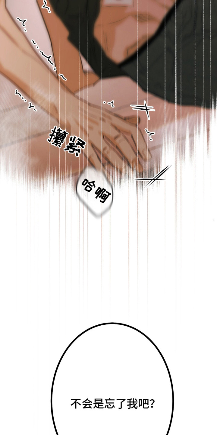 第4章：好久不见1