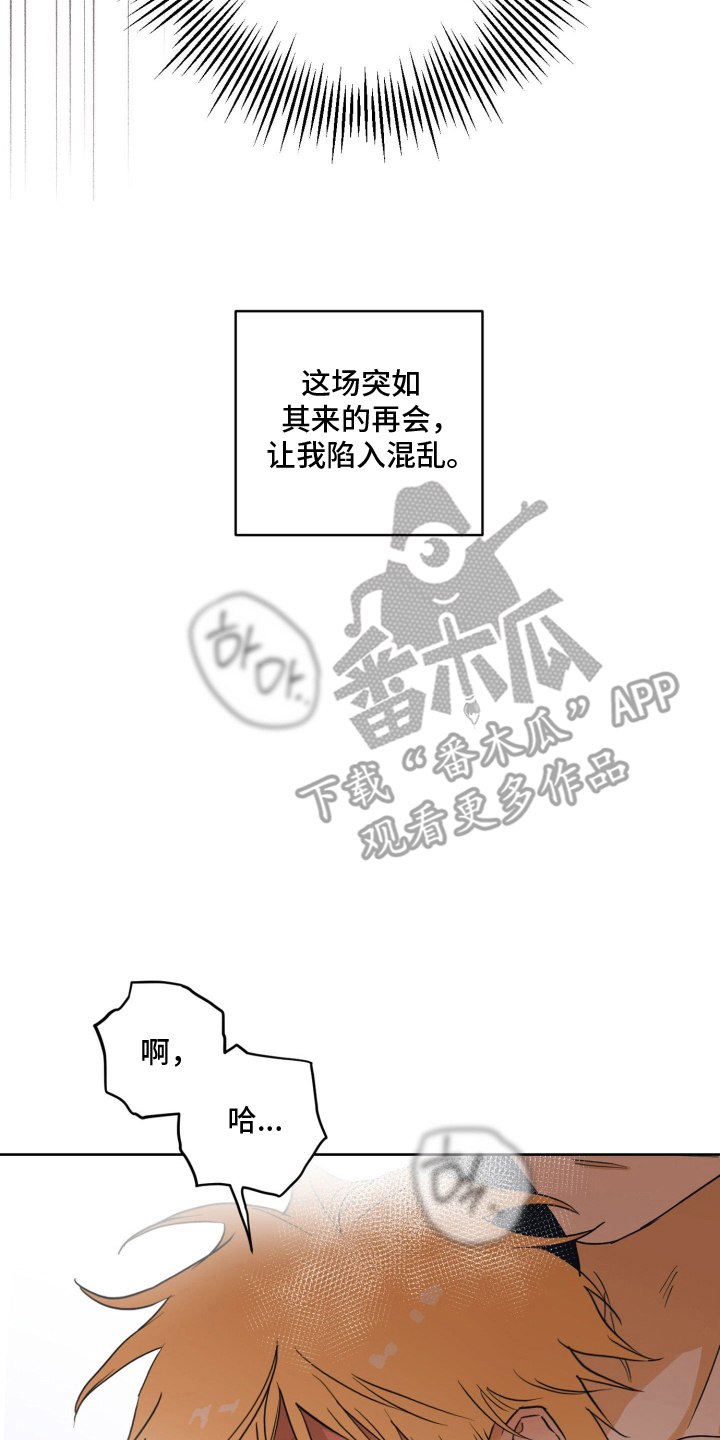 致命选拔男主剧情漫画,第9章：弱点5图
