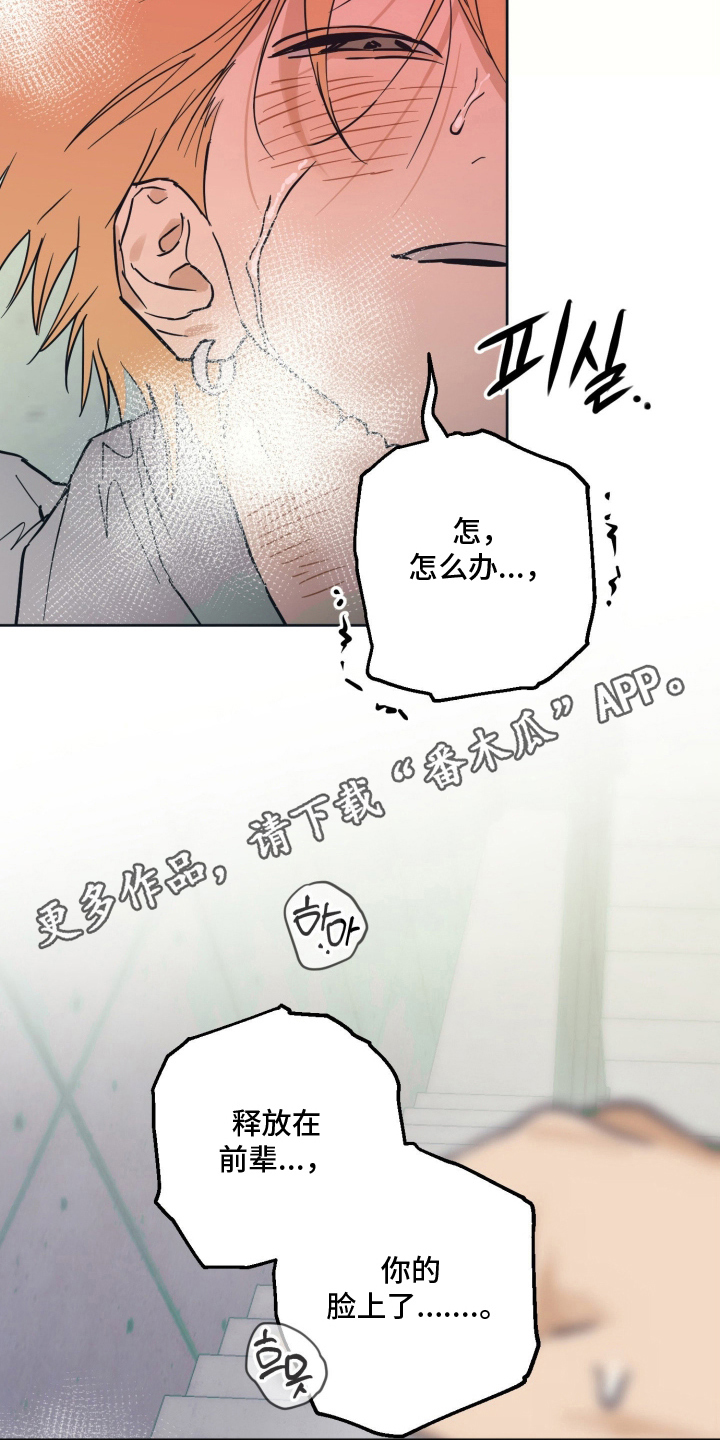 第15章：指导一下2