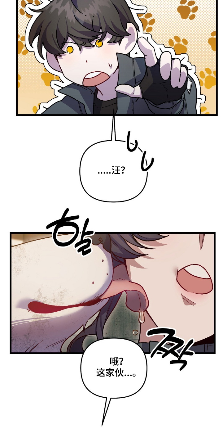 心蚀尸途漫画,第23章：小狗5图