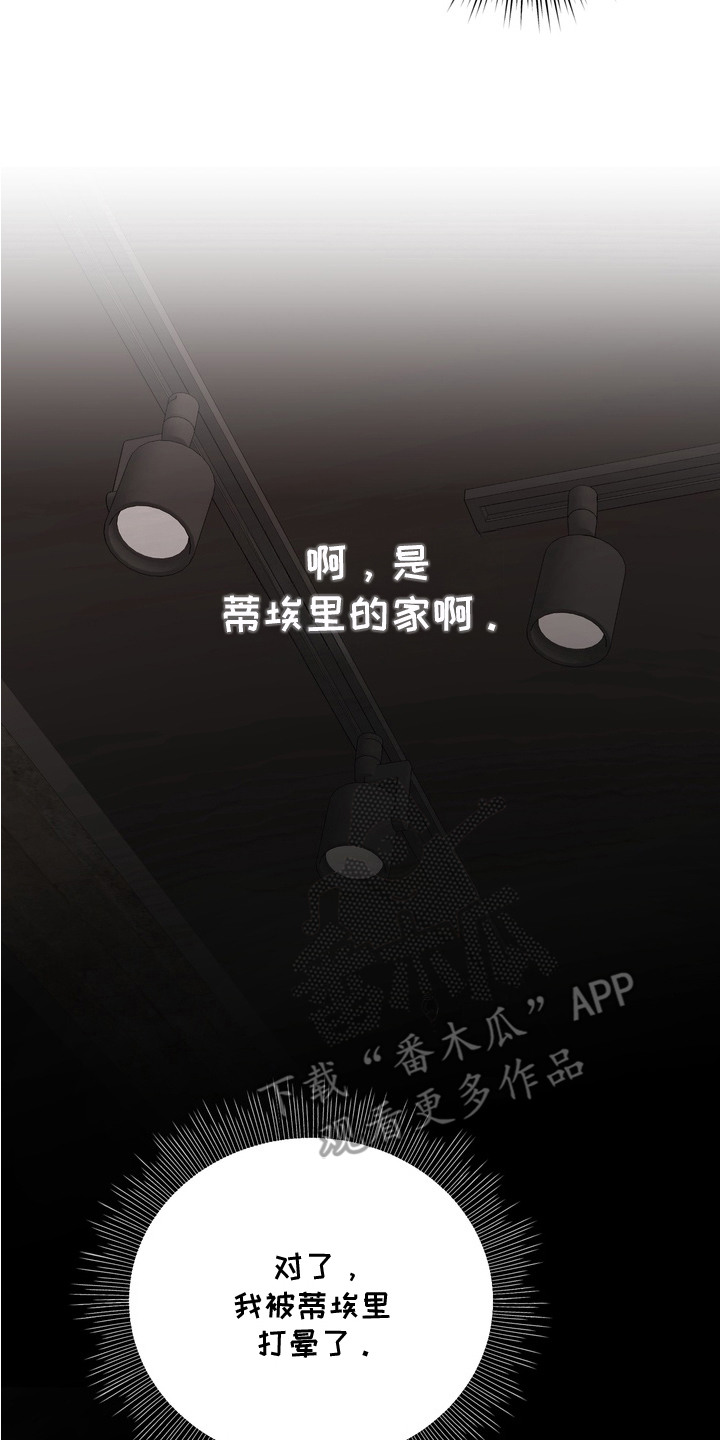 特殊开发虚妄之爱角色人气排行漫画,第8章：玩具4图