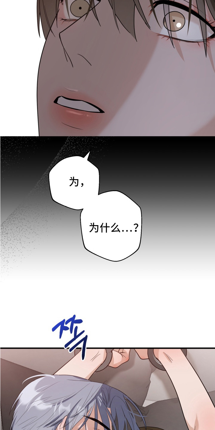 特殊开发虚妄之爱漫画,第4章：双胞胎5图