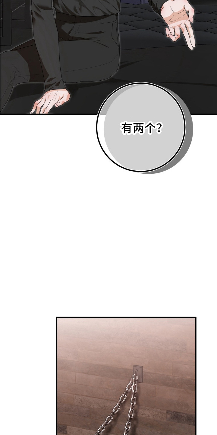 特殊开发虚妄之爱漫画,第4章：双胞胎5图