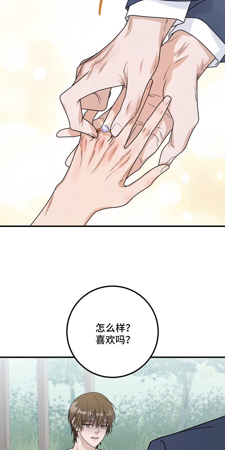 特殊开发虚妄之爱角色人气排行漫画,第19章：婚戒（完结）4图
