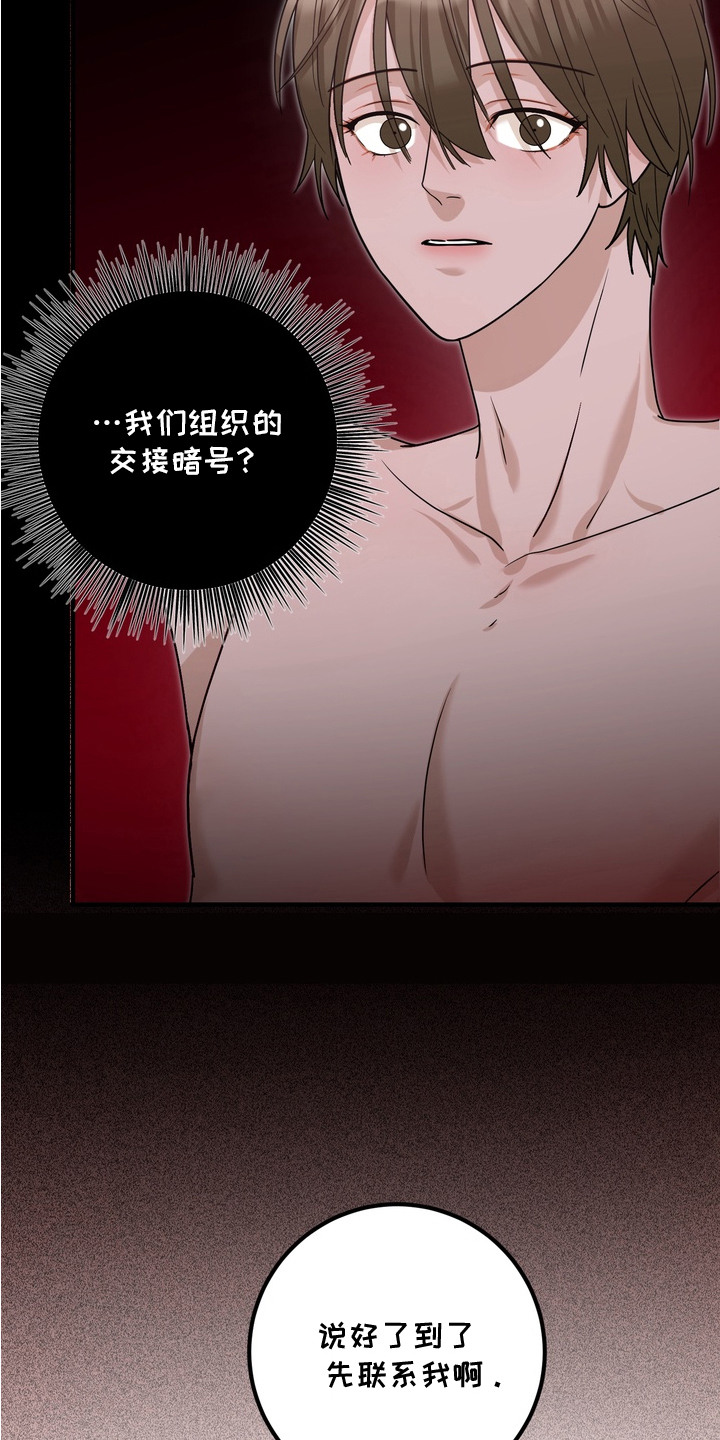 特殊开发虚妄之爱角色人气排行漫画,第16章：暗号1图