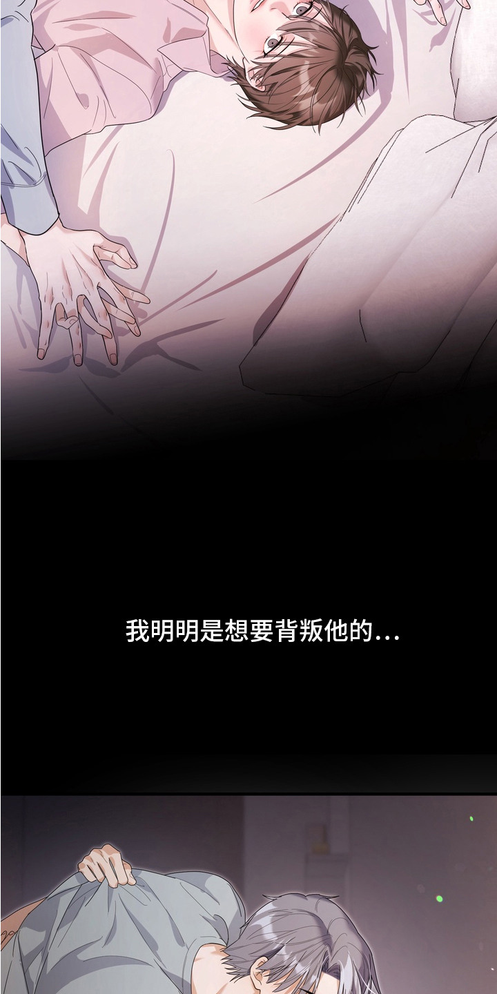 特殊开发虚妄之爱人物介绍漫画,第1章：诈骗犯4图