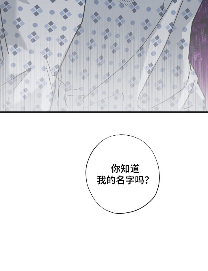 惩罚医生漫画,第5章：汇报1图