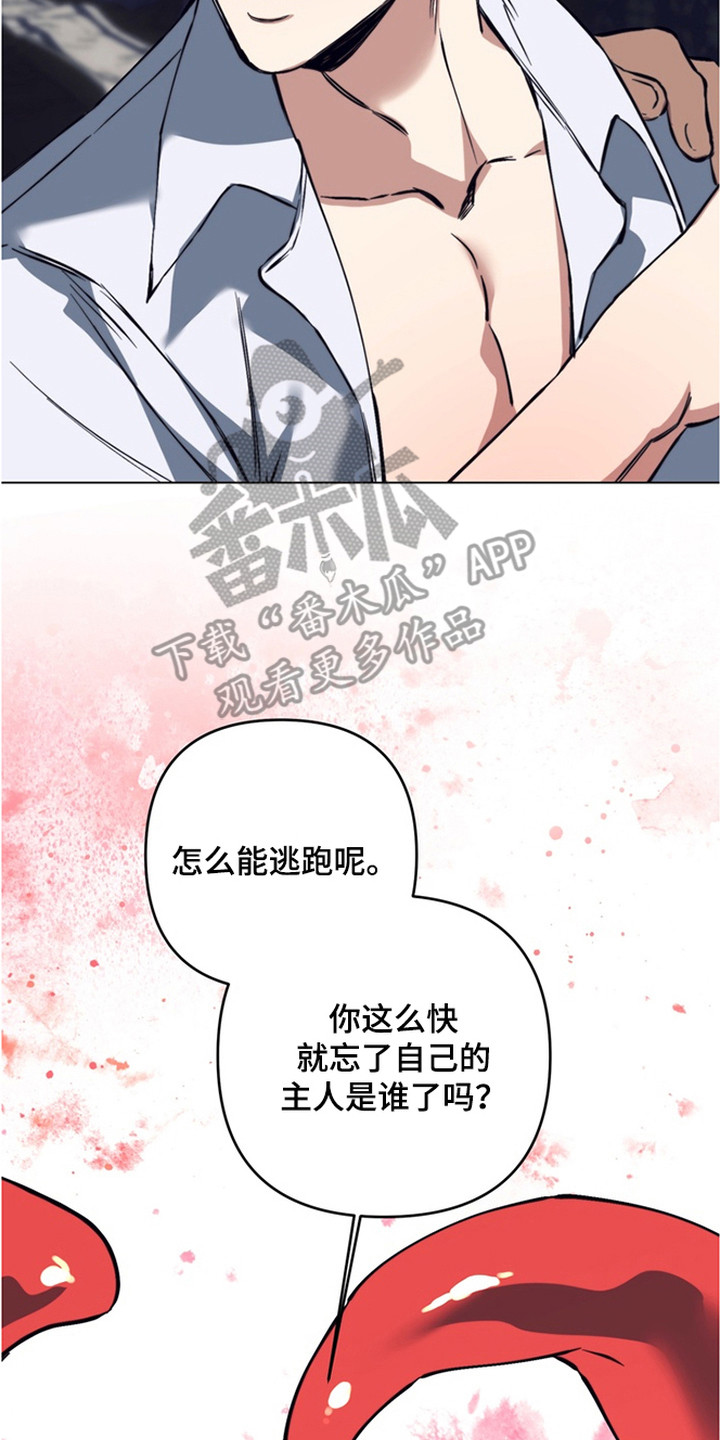 特殊开发失格皇储漫画,第16章：又见面了5图