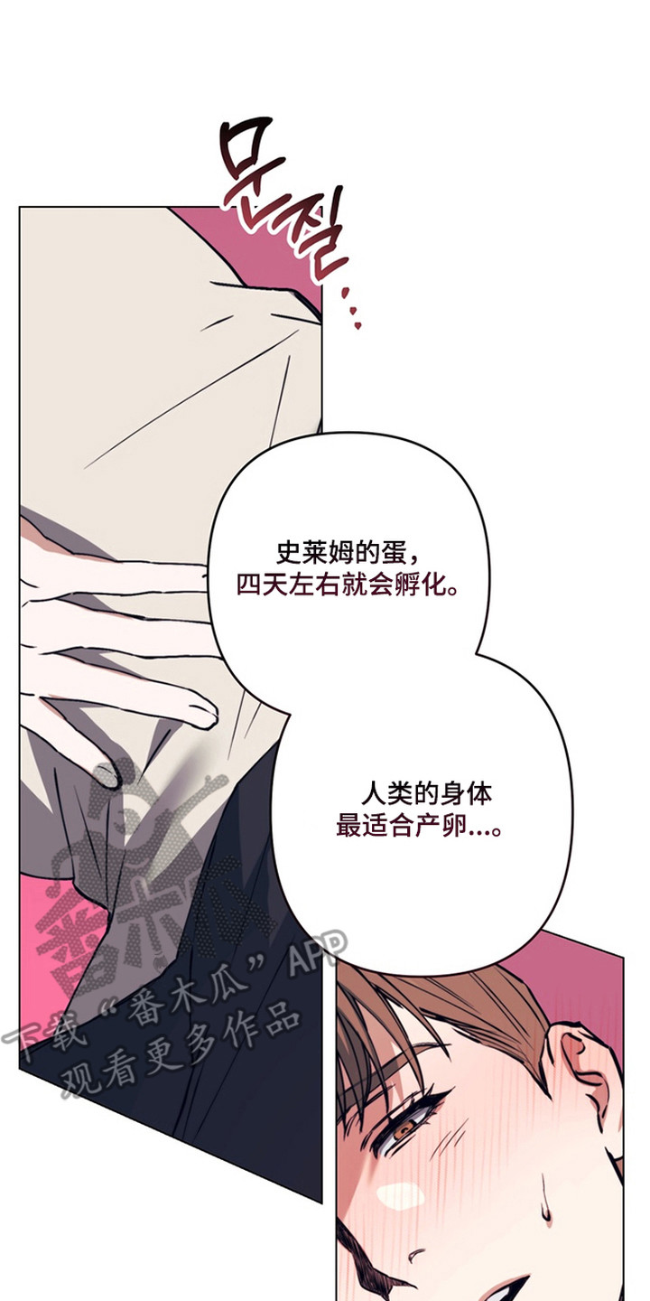 特殊开发失格皇储漫画,第11章：魔物蛋2图