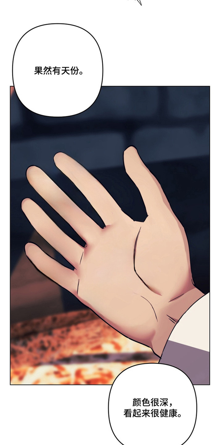 特殊开发失格皇储漫画,第4章：开始期待1图