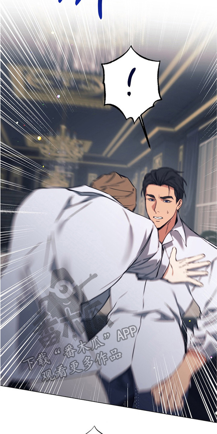 特殊开发失格皇储漫画,第14章：发誓守护3图