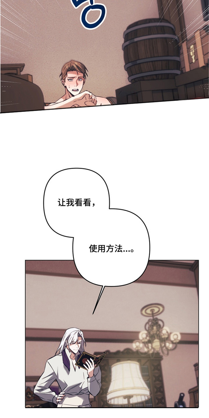 特殊开发失格皇储漫画,第8章：魔法师5图