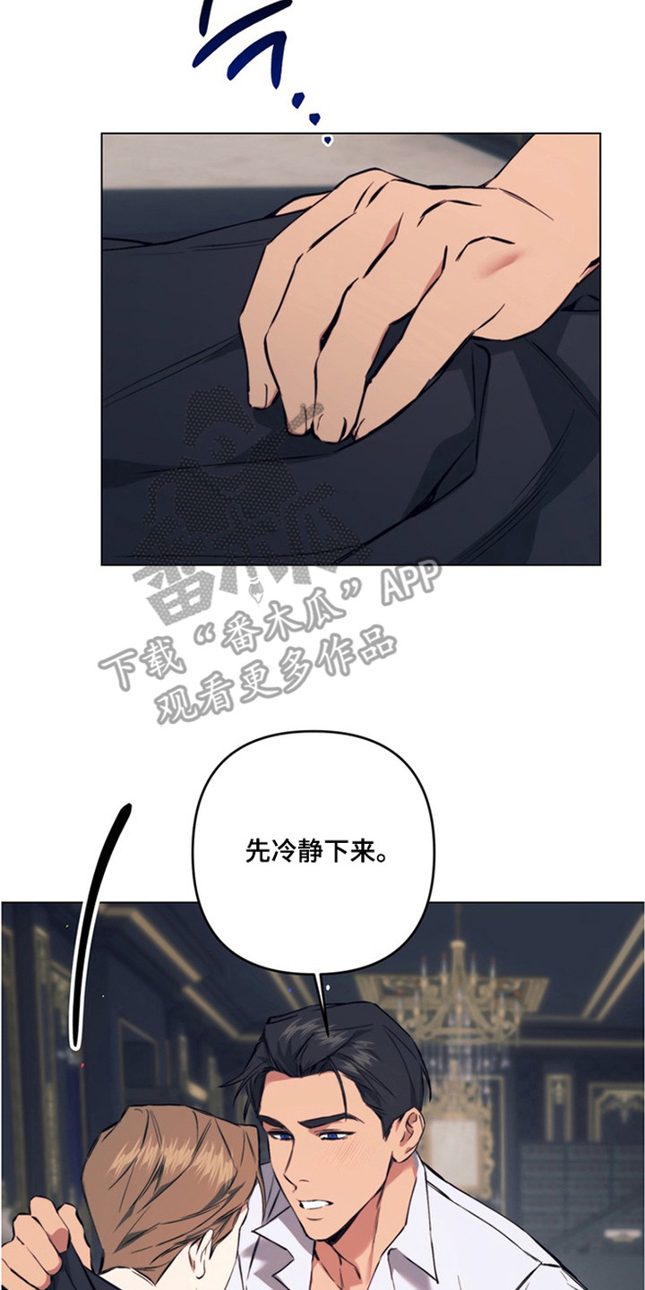 特殊开发失格皇储漫画,第14章：发誓守护4图