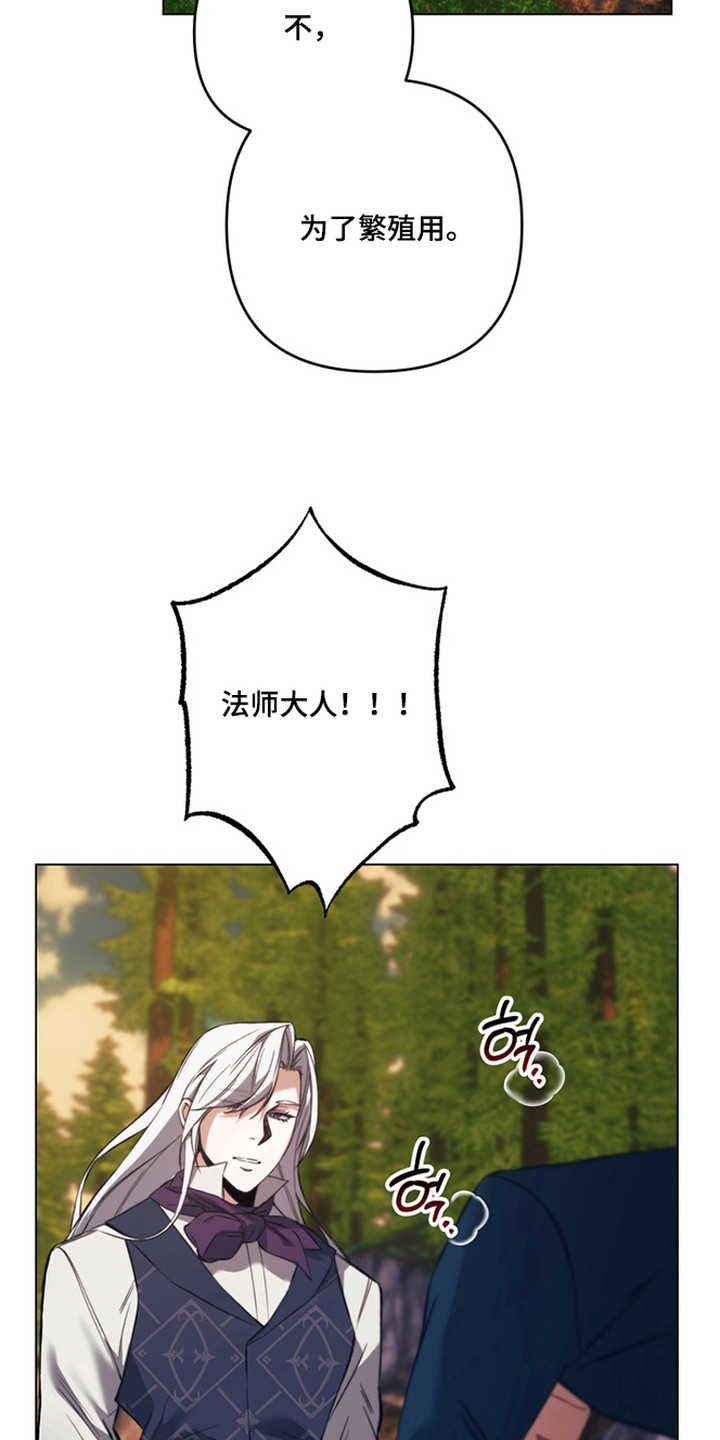 特殊开发失格皇储漫画,第8章：魔法师4图