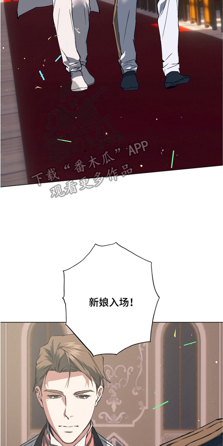 特殊开发失格皇储漫画,第21章：他们的新娘（完结）3图