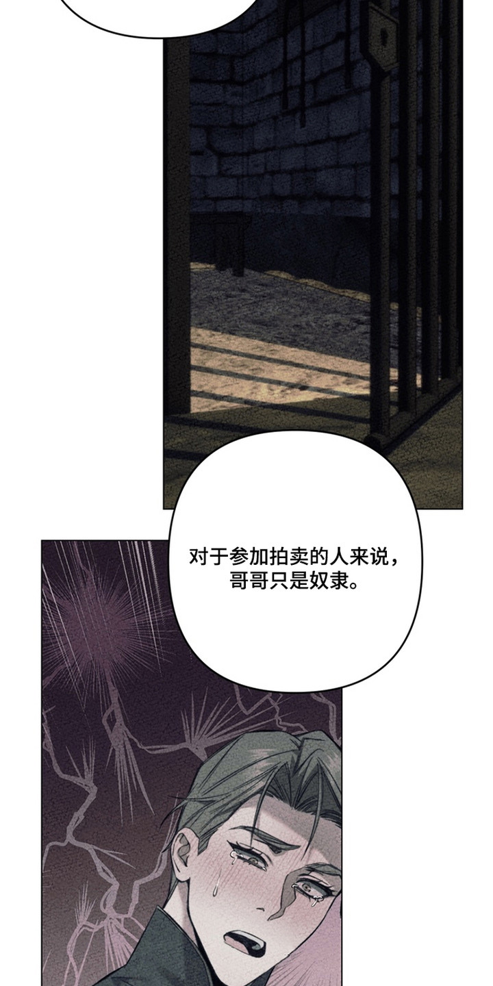 特殊开发失格皇储漫画,第20章：选择2图