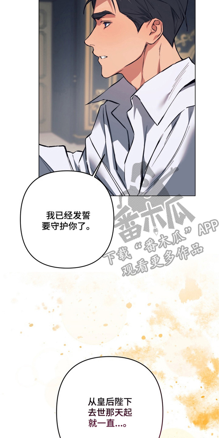 特殊开发失格皇储漫画,第14章：发誓守护5图