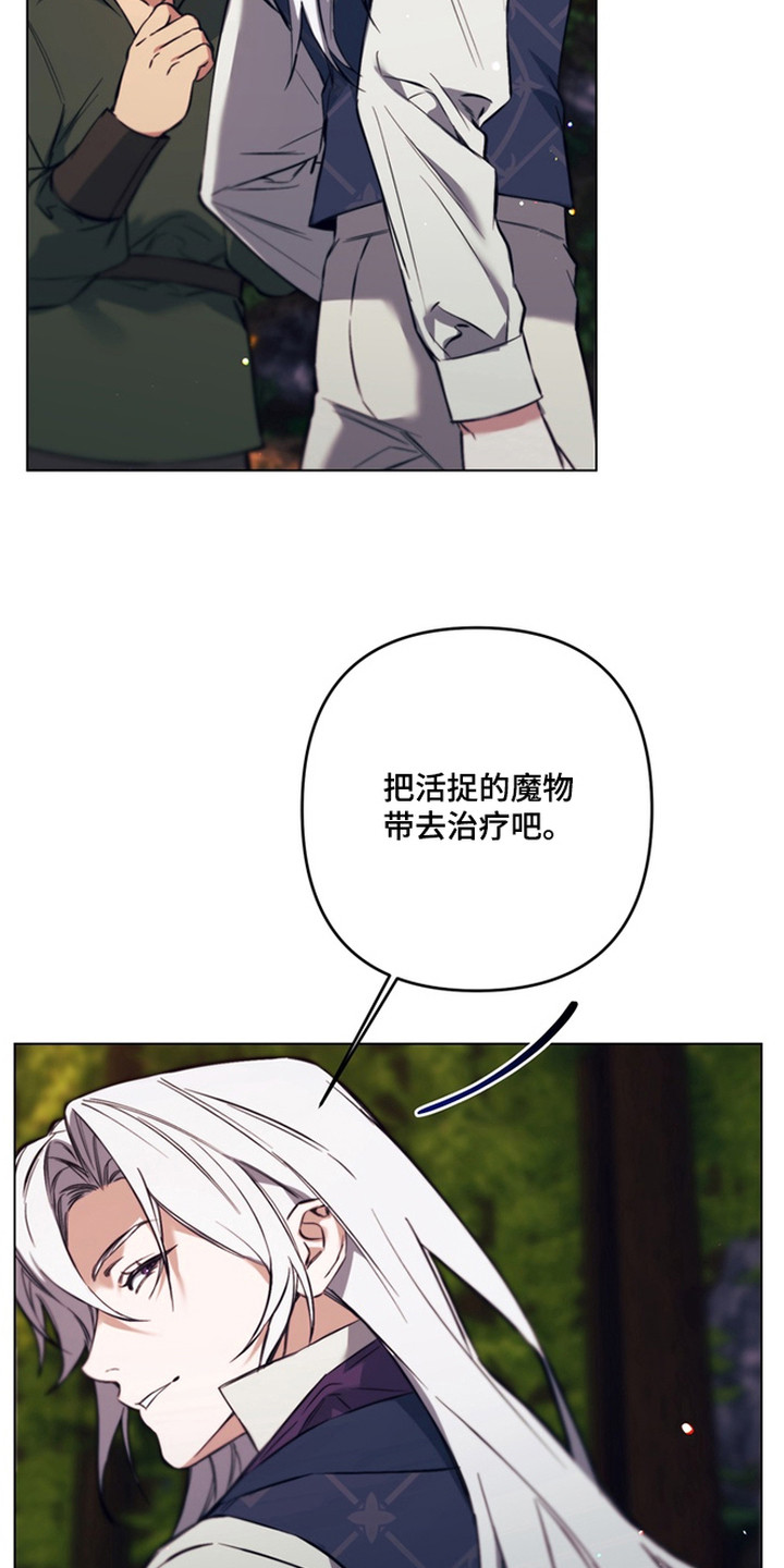 特殊开发失格皇储漫画,第8章：魔法师2图